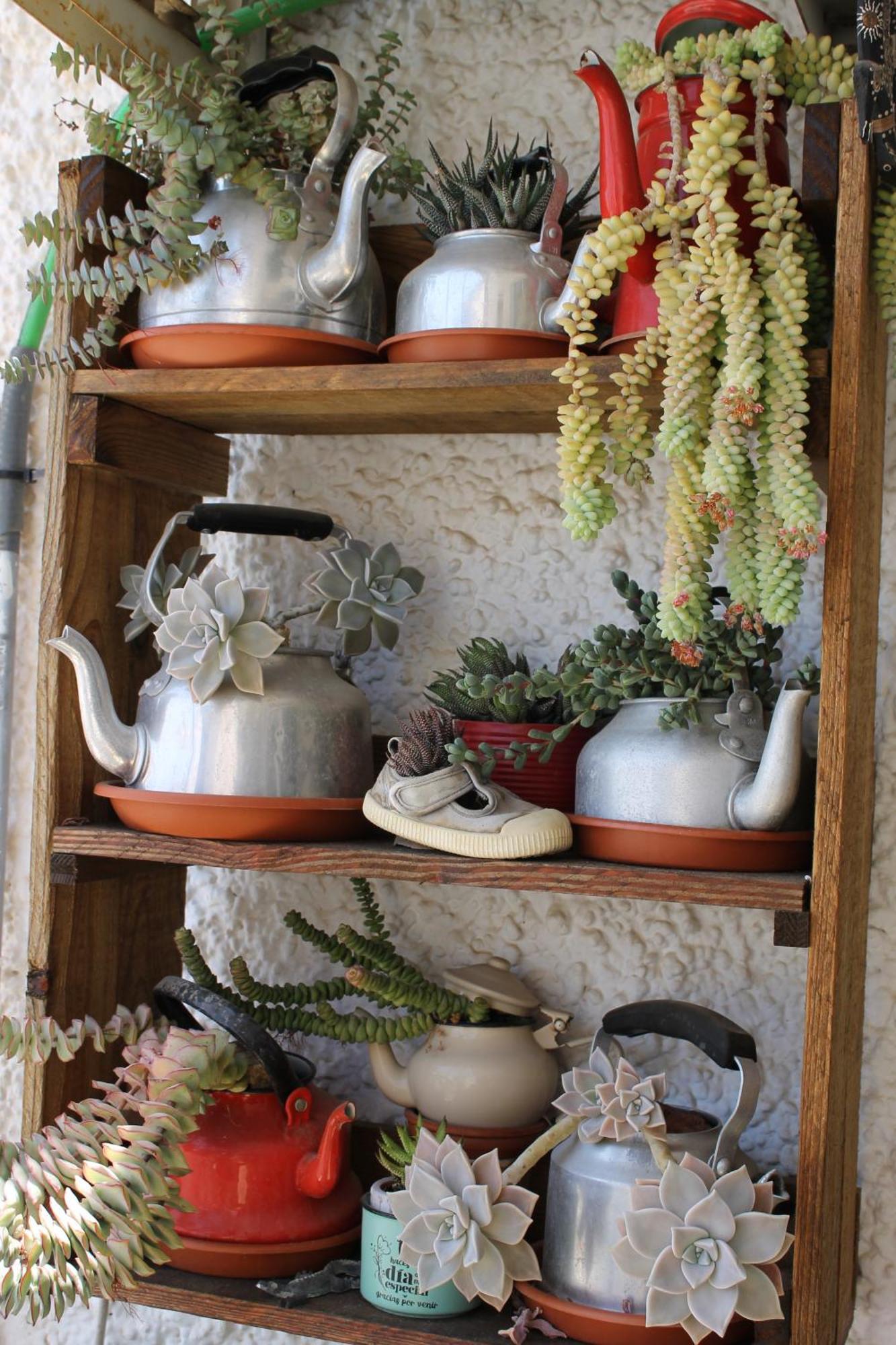 En Piso Compartido In Shared Flat Homestay